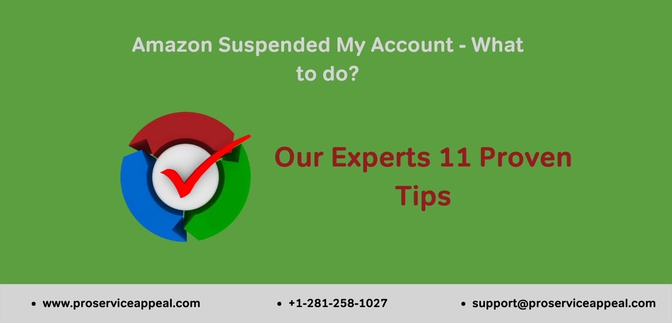 Amazon Suspended My Account | What to do | 11 Proven Tips