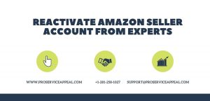 Read more about the article How to Reactivate Amazon Seller Account in 2024?