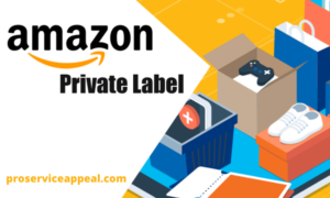 Read more about the article What is Amazon Private Label?